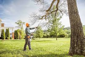 Best Storm Damage Tree Cleanup  in Lake Los Angeles, CA