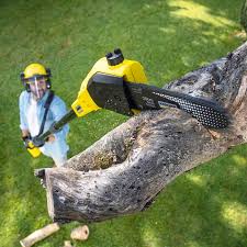 Best Utility Line Clearance  in Lake Los Angeles, CA